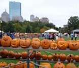Exposição de abóboras esculpidas
