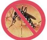 Combate à Dengue: uma questão de saúde pública