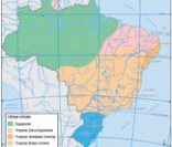 Zonas climáticas do Brasil indicam diversidade