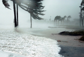 Foto de uma praia com ventos fortes movimentando palmeiras