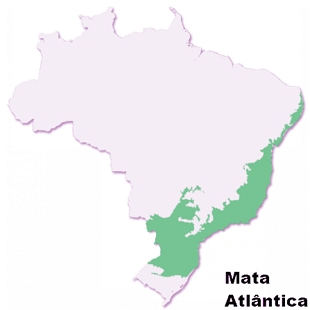 Mapa do Brasil mostrando a localização da Mata Atlântica