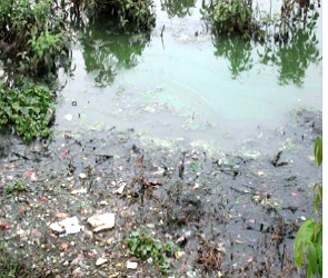 Foto da margem de um rio poluído e contaminado