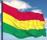 Bandeira da Bolívia hasteada em La Paz