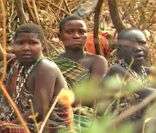 Bosquímanos: grupo étnico da África Ocidental
