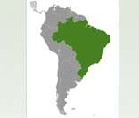 Localização do Brasil na América do Sul