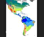 América: grande variedade climática