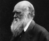 Charles Darwin: criador do evolucionismo