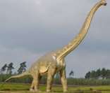 Brontossauro: dinossauro herbívoro de grande porte que viveu no final do período Jurássico