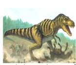Os Dinossauros dominaram o planeta na era Mesozoica