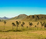 Paisagem típica do Cerrado brasileiro