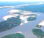 Ilha do Bananal: rica biodiversidade na maior ilha fluvial do mundo