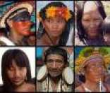 Índios do Brasil: diversas línguas e dialetos