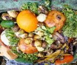 Lixo Orgânico: resíduos de origem animal e vegeta