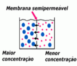 Osmose: transporte passivo