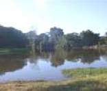 Típica paisagem do pantanal