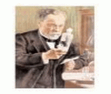 Louis Pasteur: criador do processo de pasteurização