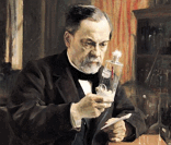 Louis Pasteur: criador do processo de pasteurização