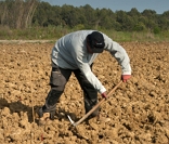 Reforma Agrária: direito de trabalho no campo