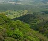 Reserva Biológica Serra do Japi (estado de SP)
