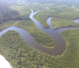 Rio Amazonas: o principal da Amazônia