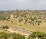 Savana africana: um ecossistema muito rico