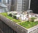 Telhado Verde: arquitetura em prol do meio ambiente