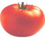 Tomate: rico em licopeno