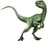 Velociraptor: carnívoro e muito veloz