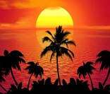 Verão: muito Sol e calor em regiões tropicais e equatoriais