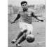 Just Fontaine: 13 gols numa única copa