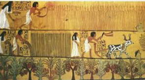 Imagem mostrando a agricultura e a pecuária no Egito Antigo