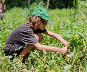 Aluno mexendo em plantas numa aula ao ar livre