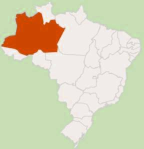 Localização do estado do Amazonas no Brasil