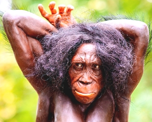 Imagem mostrando como seria (reconstru&ccedil;&atilde;o) um Australopithecus Sediba