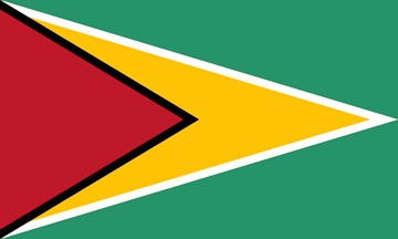 Bandeira da Guiana