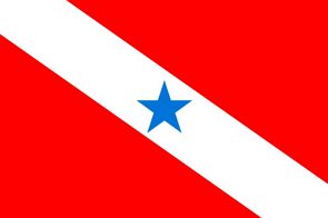 Bandeira do estado do Pará
