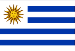 Bandeira Nacional do Uruguai