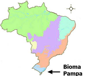 Mapa dos biomas do Brasil mostrando a localização do bioma Pampa