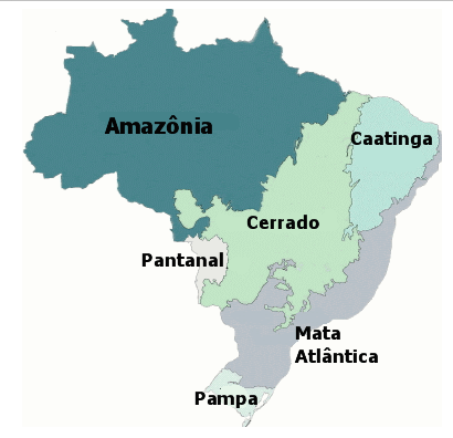 Mapa dos Biomas do Brasil