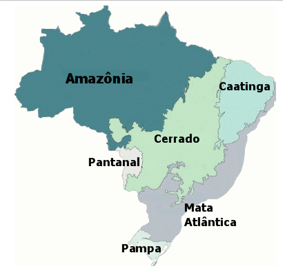 Mapa dos Biomas do Brasil Mapa dos Biomas do Brasil