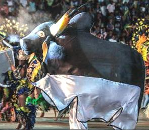 Festa do boi-bumb&aacute;