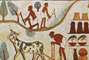 Camponeses egípcios trabalhando na agricultura