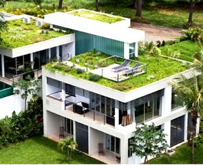 Casa com telhado verde