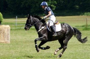Cavaleiro numa prova de hipismo
