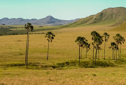 Foto Cerrado da regi&atilde;o Centro-Oeste
