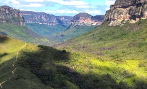 Vegetação da Chapada Diamantina