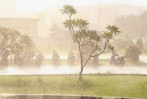 Foto de uma chuva forte numa regi&atilde;o com &aacute;rvores
