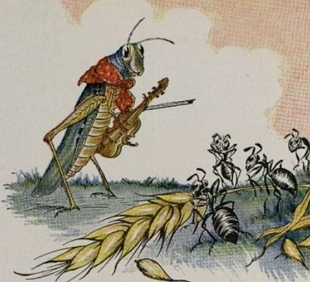 ILustra&ccedil;&atilde;o da f&aacute;bula a cigarra e a formiga