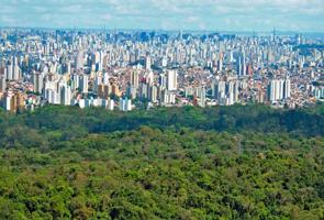 Trecho do cinturão verde da cidade de São Paulo