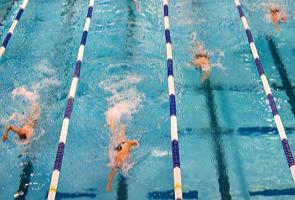 Nadadores participando de uma competição de natação